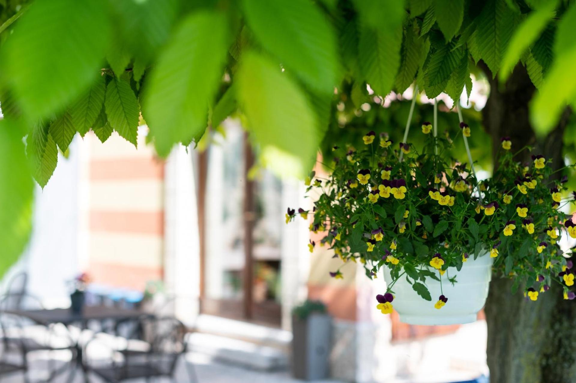 Agriturismo El Crear 圣皮得因卡日 外观 照片