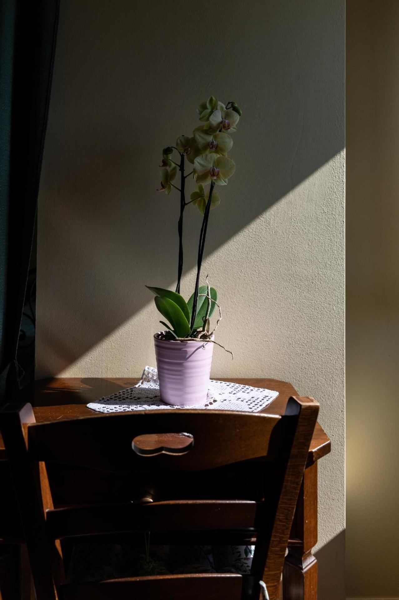 Agriturismo El Crear 圣皮得因卡日 外观 照片
