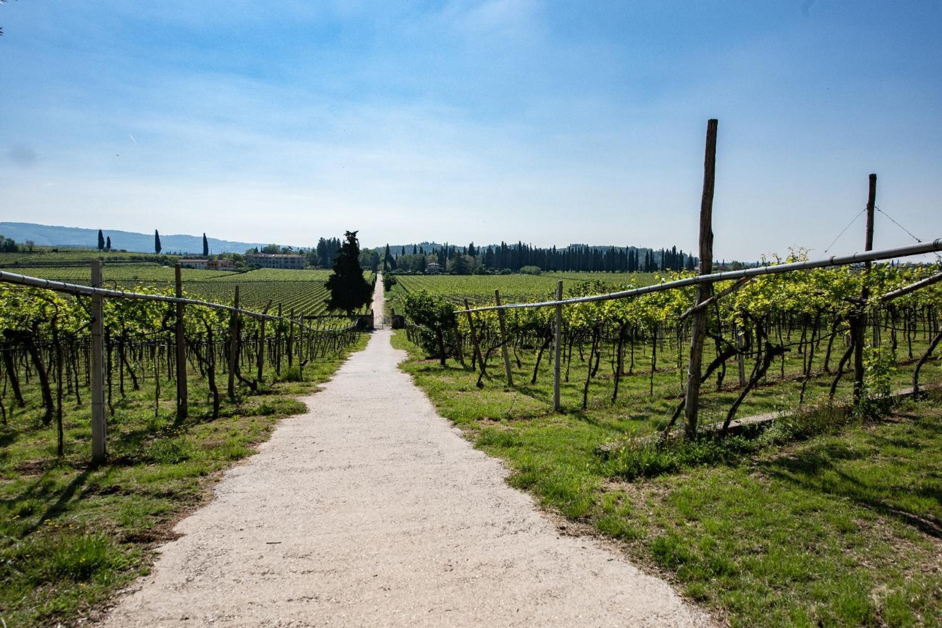 Agriturismo El Crear 圣皮得因卡日 外观 照片