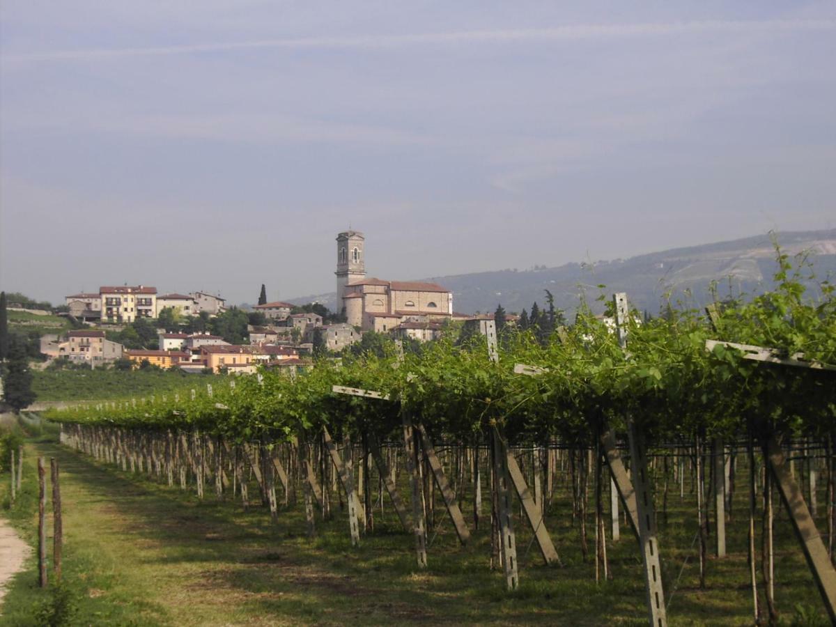 Agriturismo El Crear 圣皮得因卡日 外观 照片