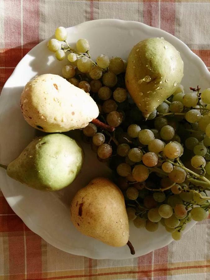 Agriturismo El Crear 圣皮得因卡日 外观 照片